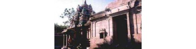 141. திருப்பயற்றூர்